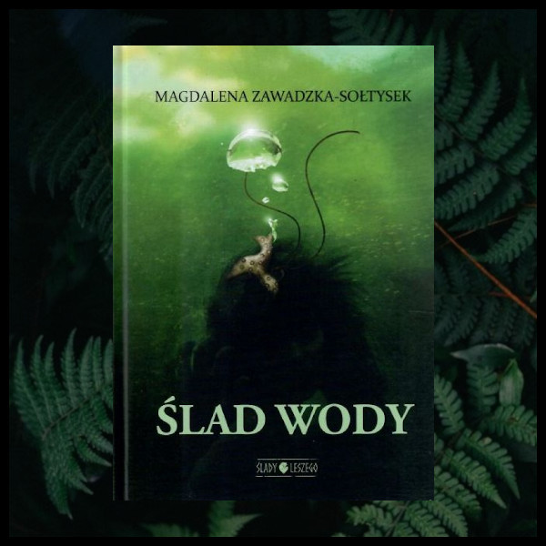 Ślad Wody - słowiańskie książki, slavicbook, slavic books, recenzja książki o tematyce słowiańskiej.