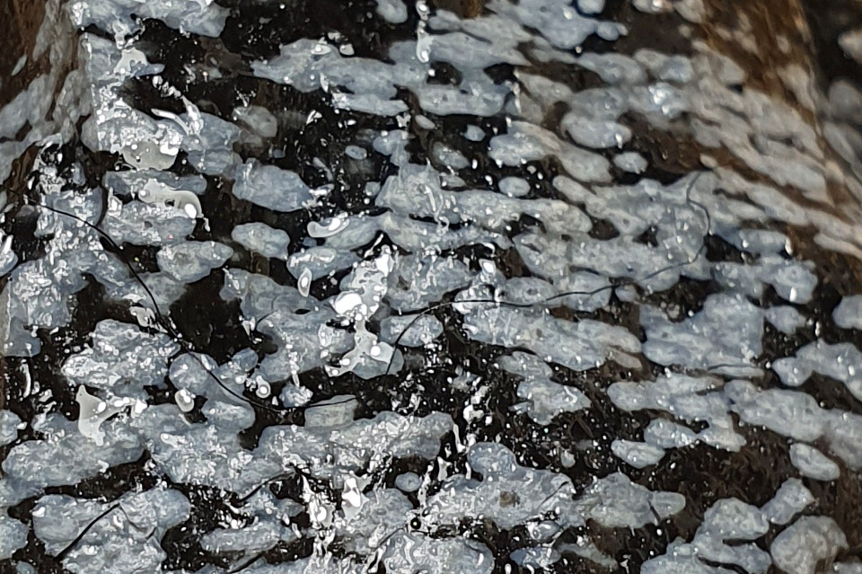 Obsydian śnieżny - znaczenie, opis i właściwości minerałów. Sklep z minerałami, biżuteria, minerały Poznań