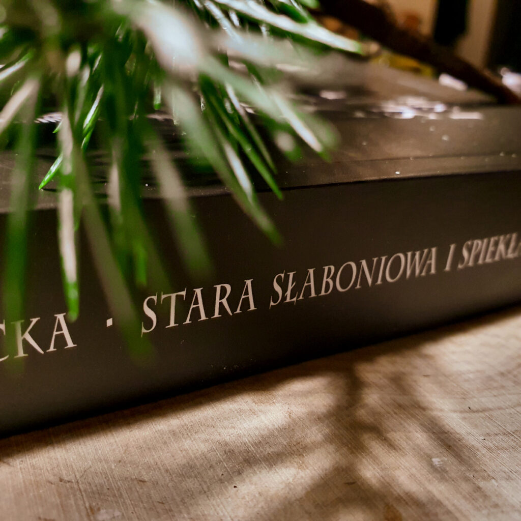 Recenzje książek - słowiańskie książki, slavicbook, slavic books, recenzja książki o tematyce słowiańskiej.