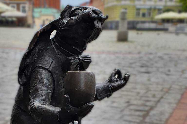 Rzeźba królika Degustatora - Gniezno - Trakt Królewski - słowiańskie miejsca, slavicplace. Zwiedzanie z dziećmi, Trakt Królewski.