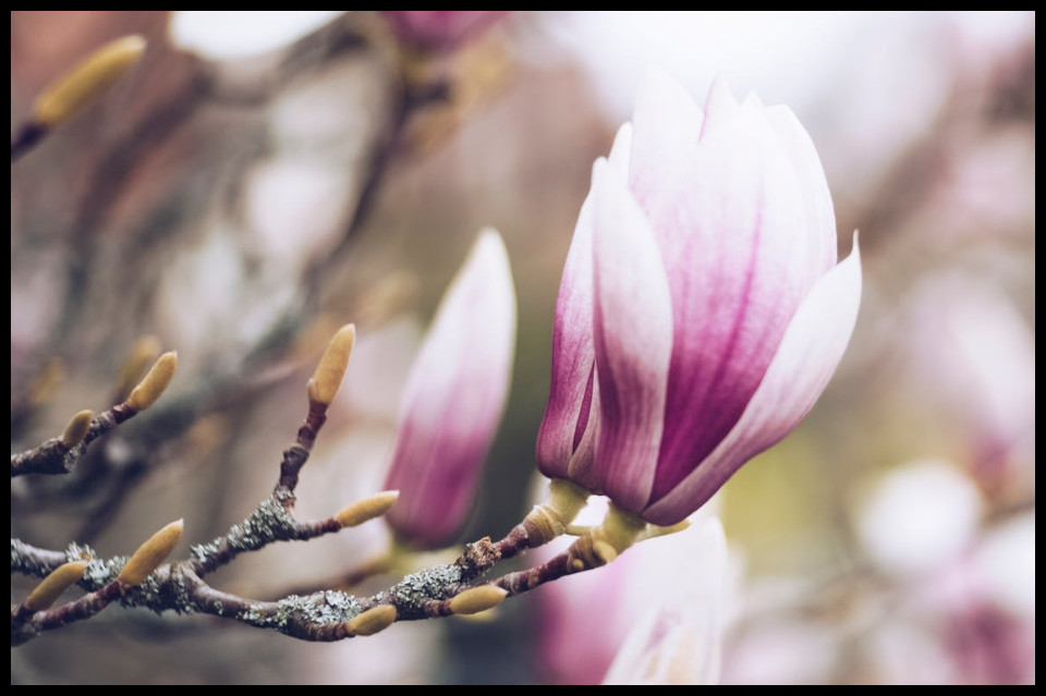 Równonoc wiosenna - topienie Marzanny, wiosenne rytuały, przygotowanie do wiosny