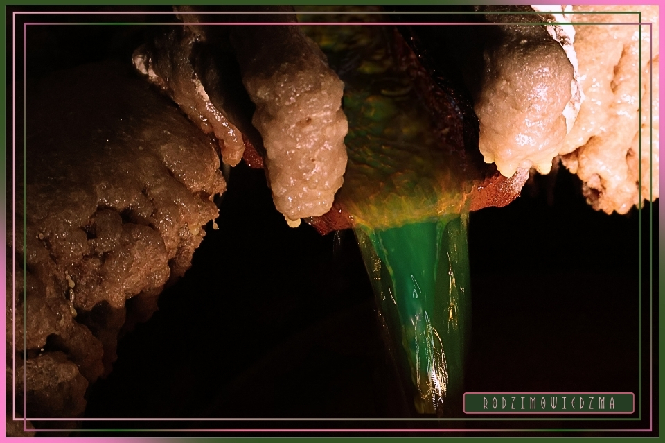 Kopalnia Soli w Wieliczce. Zwiedzanie Wieliczki. Zdjęcia Wieliczka. Recenzja, opinia, artykuł. Fotorelacja z Wieliczki. Zwiedzanie z przewodnikiem. Wieliczka dla dzieci. Kraków w weekend. Zwiedzanie Krakowa w jeden dzień. Wiedźma w trasie - RodzimoWiedźma.
